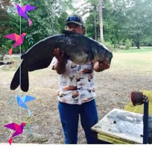 Meet your Posher, Johnny